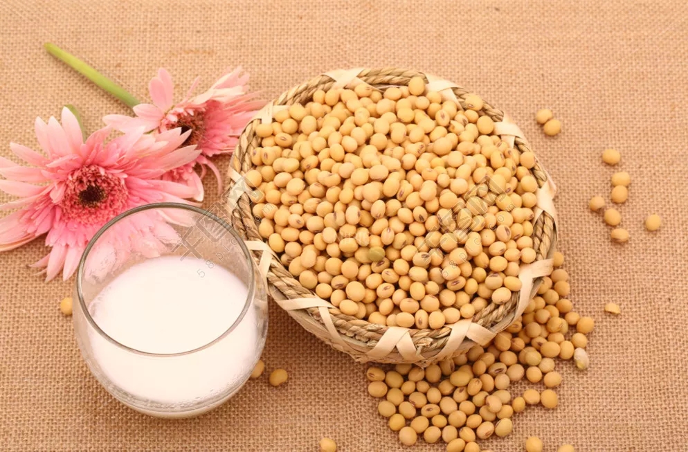 b9ca2633a5d6bd1f55cbf8707da536e5-sz_340371.webp.jpg b9ca2633a5d6bd1f55cbf8707da536e5-sz_340371.webp.jpg